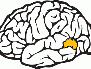 Morethanluck-brain