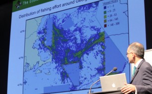 Capturing natural capital