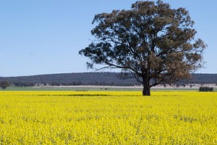 Sustainable Economy - land