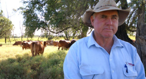Farming smarter, not harder: securing our agricultural economy | LANDMARK REPORT