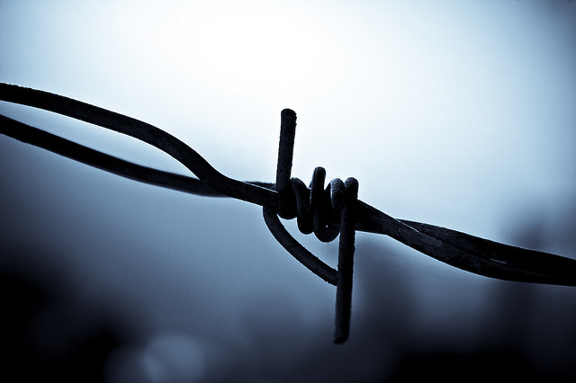 barbed wire